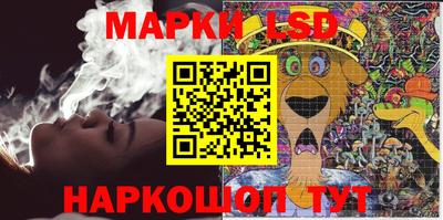 ECSTASY Камышлов