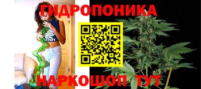ECSTASY Камышлов