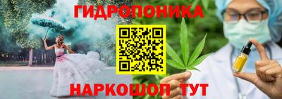 ECSTASY Камышлов