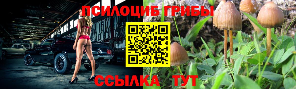 Псилоцибиновые грибы Magic Shrooms  Вход с VPN  Южно-Сахалинск 